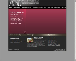 Web site www.amirealestate.com, AMI Real Estate Investment